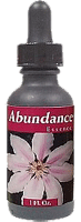 Youngevity Abundance