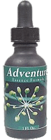 Youngevity Adventure