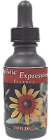 Youngevity Artistic Expression