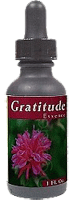 Youngevity Gratitude Essence