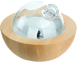 Young Living Home Diffuser
