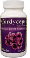 Youngevity Cordyceps Plus