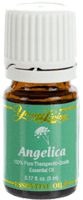 Young Living Angelica