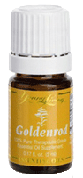 Young Living Goldenrod