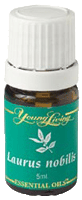 Young Living Laurus Nobilis