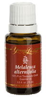 Young Living Melaleuca Alternifolia