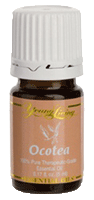 Young Living Ocotea