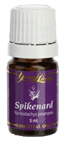 Young Living Spikenard